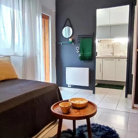 Apartment Michelet Climatise Avec Balcon Et Parking Ferme Montpellier